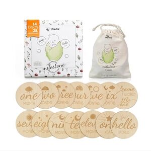 Baby Monthly Milestone Wooden Signs